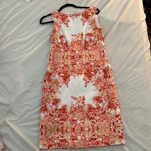 Adrianna Papelle Dress